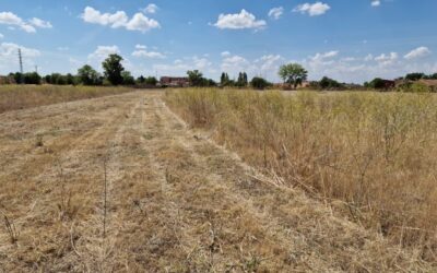 Limpieza y desbroce en pueblos