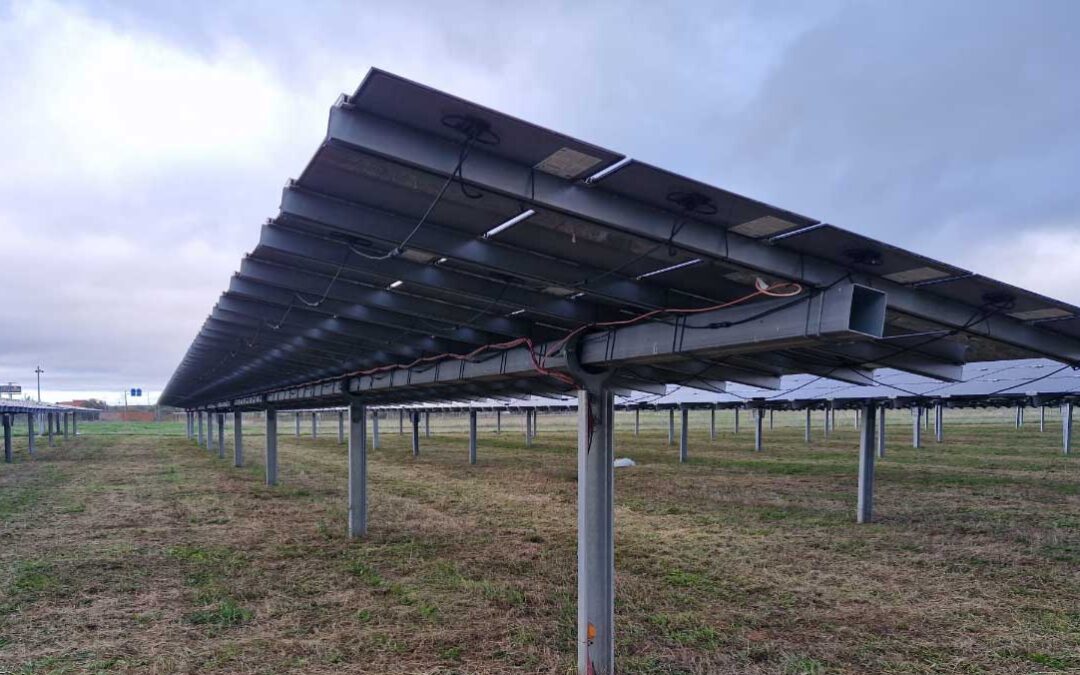 Desbroce de huertos solares