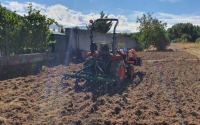 Limpieza de fincas rústicas y terrenos de siembra